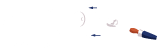 Picc vector